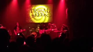 Video thumbnail of "Dark Angel TRIBAL SEEDS GRAMERCY THEATER 24-10-13"