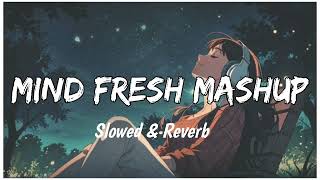 Mind relaxing mashup song | Slow & Reverb | Arjit Singh New Song | Mashup 2024 #trendingsong #love
