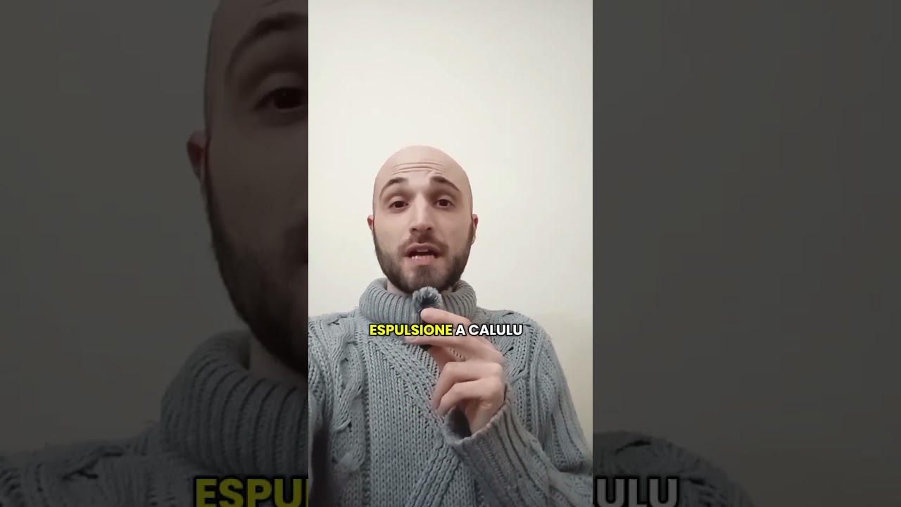 INTER 3 JUVENTUS 2: PARTITA FALSATA!