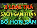 ĐỪNG ĂN BÚN, Buổi Sáng Cứ UỐNG 3 LOẠI TRÀ NÀY, GAN THẬN SẠCH ĐỘC chữa cả tỷ bệnh THẦN DƯỢC 100 triệu