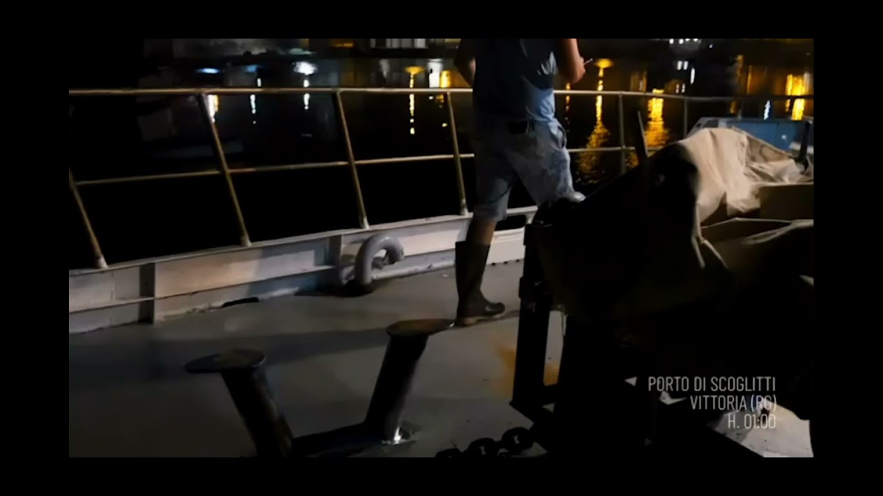Guarda il video