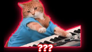 11 " Piano Cat" Sound Variations in 60 seconds