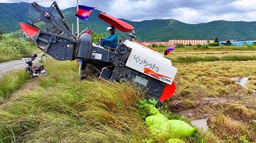 Harvesting machine, Combine harvester working