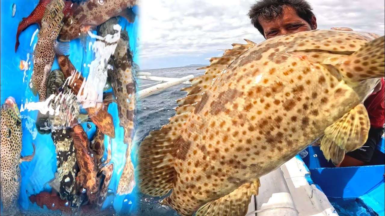 Ito Ang Super Jackpot Ito Ang Pinakamaraming kung huli!