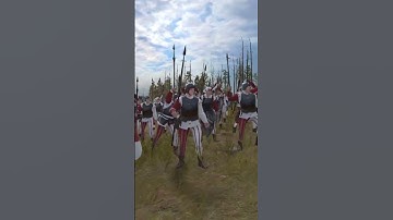 Why Spearmen with Shield is the best line infantry for the Empire in #totalwarwarhammer3