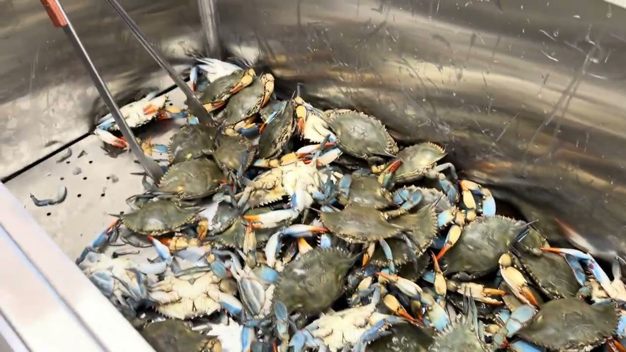 Pan Asian. Supermarkets in Antioch,Tennessee. Grand opening.