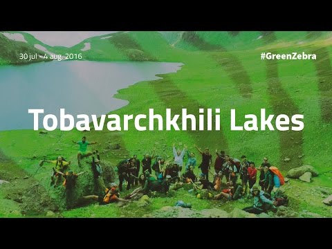 TobaVarchkhili - Green Zebra | ტობავარჩხილი - მწვანე ზებრა