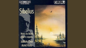 6 Partsongs, Op. 18: No. 6: Sydameni laulu (Song of my Heart) (arr. For mixed chorus)