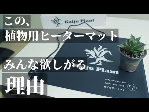 おすすめ】保温！室内園芸用ヒーターマット