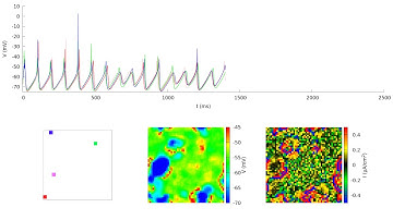 Network of Sub-threshold Oscillating/Spiking Neuron g = 0.1 mS/cm^2