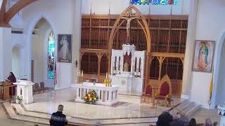 The 5th Sunday in Ordinary Time, 10:00 Mass, Feb. 8, 2026