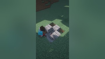 Double Block Swapper in Minecraft! #shorts