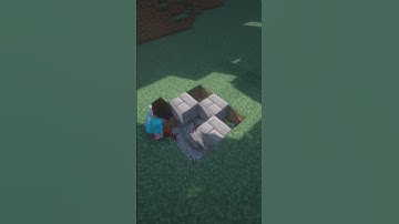 Double Block Swapper in Minecraft! #shorts