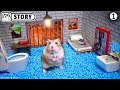 🐹 Hamster Escapes the Super Maze for Pets in real life 🐹 Homura Ham