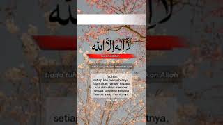 Zikir Hari Sabtu Laa Ilaaha Illallah