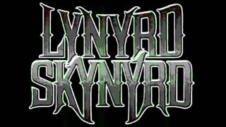 Lynyrd Skynyrd   Simple Man traduzione chords