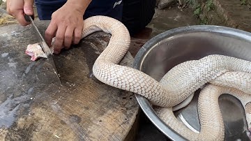 Cách làm lẩu Rắn Hổ Mang siêu ngon | Cao, Mật rắn ship tận nhà