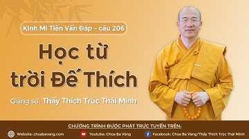 "Học từ trời Đế Thích" - câu 206 Kinh Mi Tiên Vấn Đáp | Thầy Thích Trúc Thái Minh