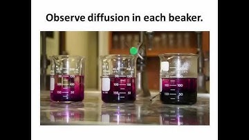 Diffusion of Potassium Permanganate