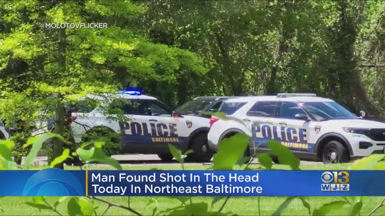 Man found shot in the head, dead on Northeast Baltimore roadway - YouTube