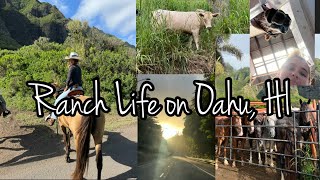 Ranch Life Vlog | Oahu, HAWAII