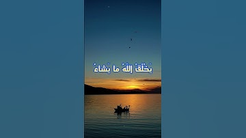 سورة النور  - فارس عباد ( الاية 45 ) Quran Karim - An-Noor