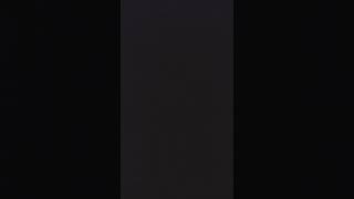 Download Lagu Sound Effect Palang Pintu Kereta Api Bayuwangi MP3