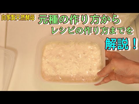 【自家製天然酵母】元種の作り方(How to make the dough starter)(難易度★★★)