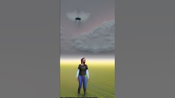 Processing and Assessment of Spectrometric, Stereoscopic Imagery Collected Using a Li... | RTCL.TV