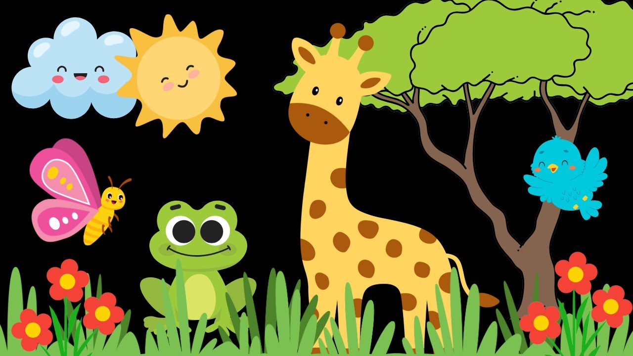 Сенсорное видео для малышей «Цветы и бабочки» | Высокая контрастность | Визуальная стимуляция нов...