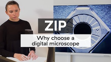 ZIP: How a digital microscope can benefit your business