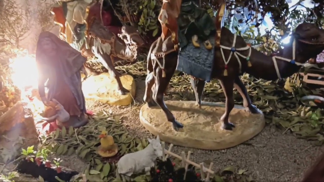 Nacimiento de la Hdad. de Ntra. Sra. de.la Soledad de Fuente Obejuna.