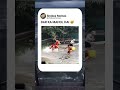 He thought it was an alligator 🐊 #memesvideo #funnyshorts #funny #viralshorts