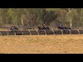 View race 4 video for 2019-03-02