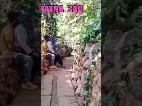 जंगल में मंगल  Patna Zoo