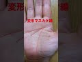 変形マスカケ線の手相 多芸多才で器用