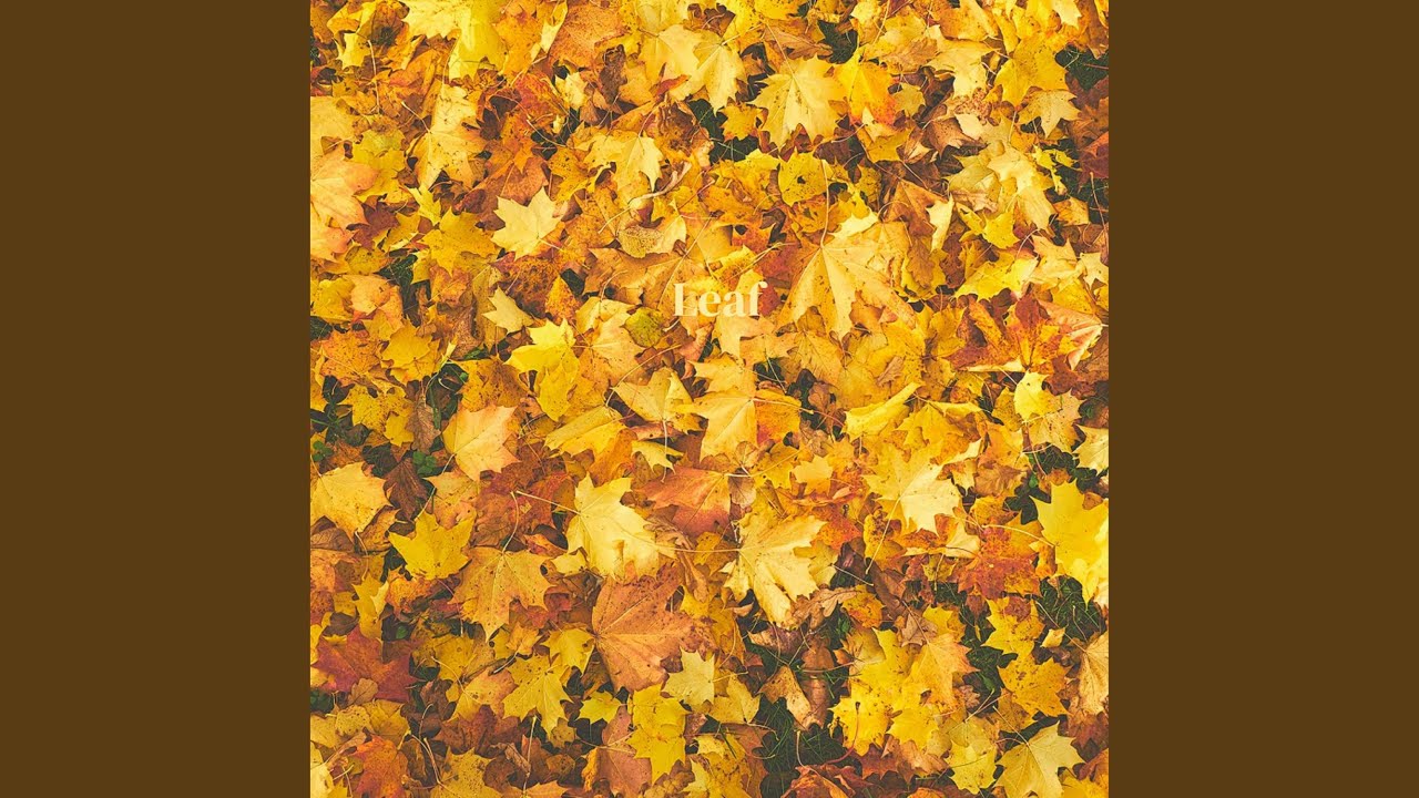 Leaf adlı videoyu YouTube'da izle Leaf adlı videoyu YouTube'da izle
