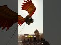 The Forgotten Flight of Ibn Firnas