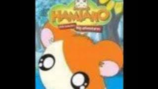 Hamtaro DVDs Around the World