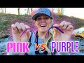 EXPERIMENT: PINK VS PURPLE WORMS FOR BASS! Interesting Results!