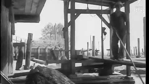MacMillan Bloedel's Van Ply plywood division in 1958