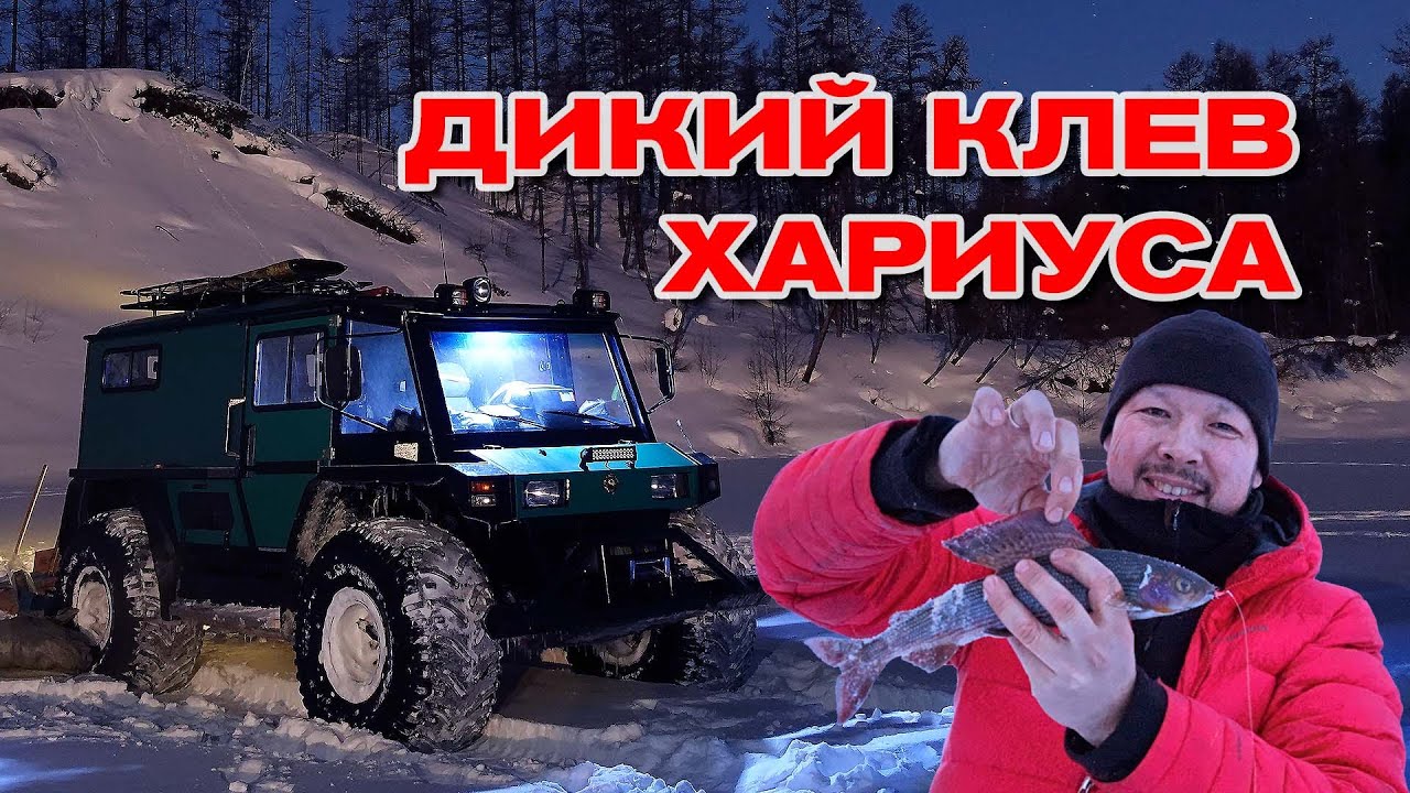 Клев на волге