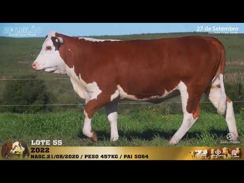 LOTE 055