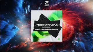 Ciaran McAuley & Audrey Gallagher - Armour (David Forbes Extended Remix) [BLACK HOLE RECORDINGS]