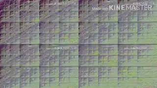 Annoying Goose Dexaparison My Ver