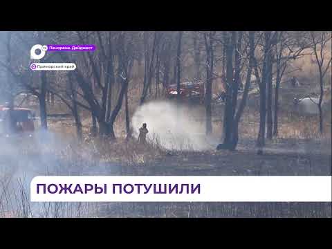 Четыре пожара общей площадью более четырехсот гектаров зарегистрировано в Приморье