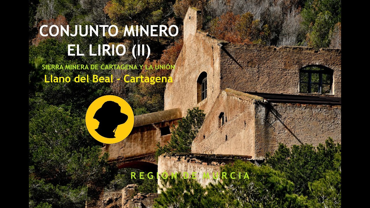 CONJUNTO MINERO EL LIRIO (II)