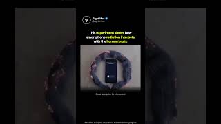 Phone Signals Explained 📱🧠