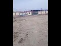 فضيحه ومهزله موقف العريشه بإدكو محمد بدوي فضيحه ومهزله موقف العريشه بإدكو محمد بدوي
