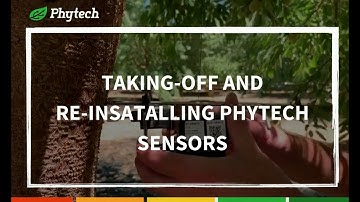Phytech dendrometers tutorial sensors installation
